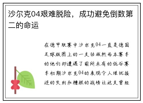 沙尔克04艰难脱险，成功避免倒数第二的命运